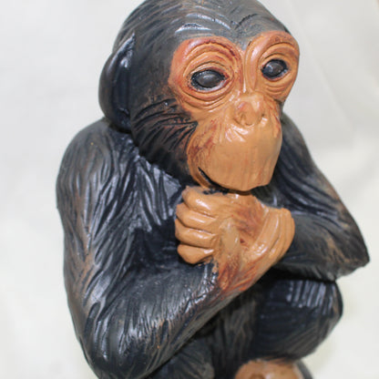 Monkey 6"